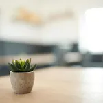 Wohlfuehlappartements „natur & Flair“ 住宿加早餐酒店 Ifta